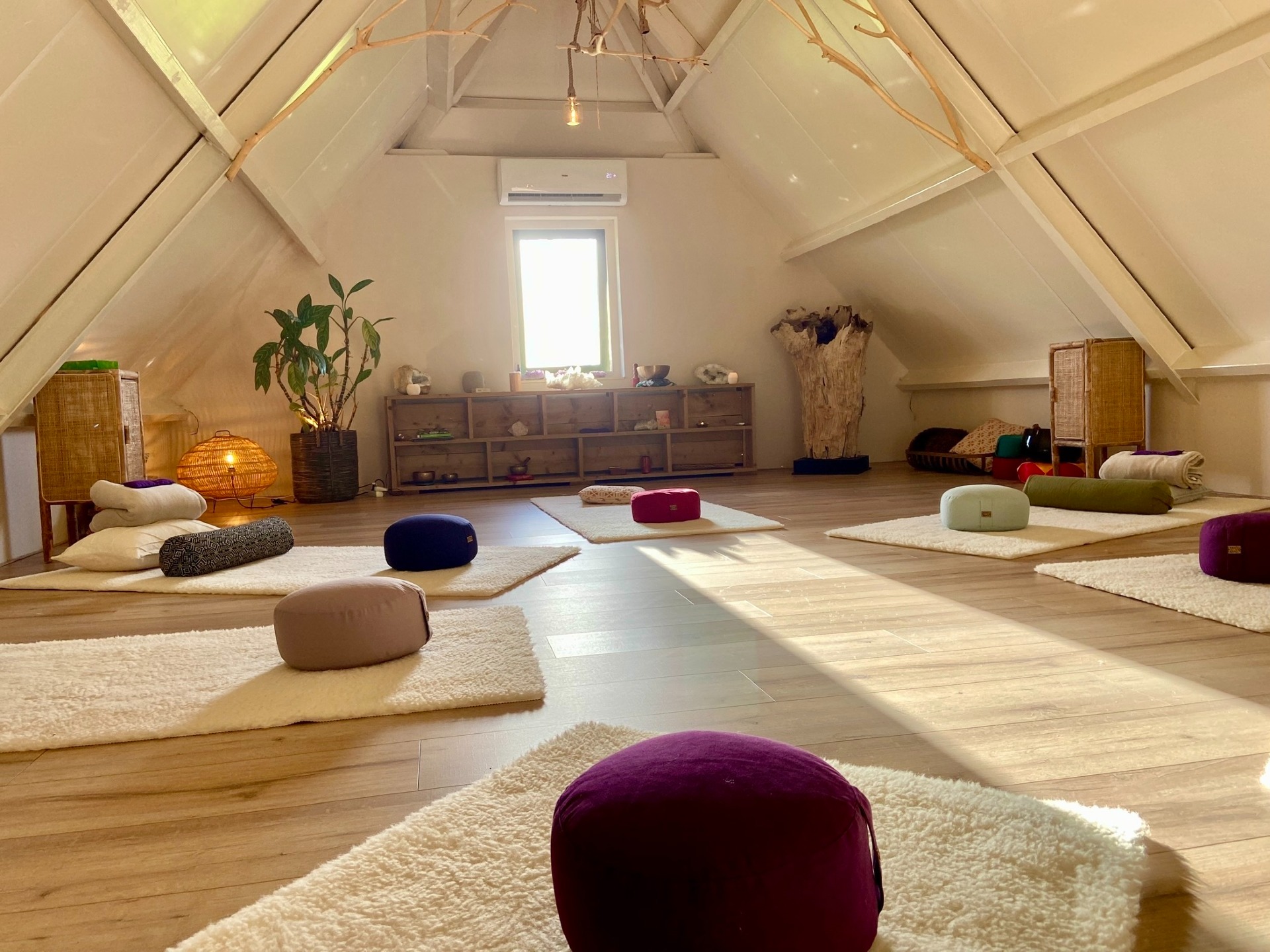 Yin Yoga, Yoga Nidra